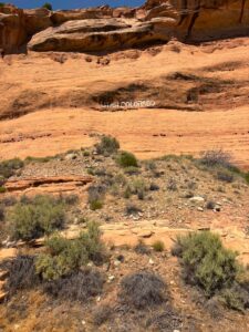 Utah-Colorado Border in the mountains